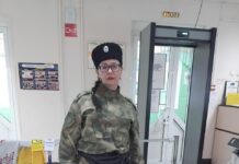 Власти ХМАО планируют отправить на «спецоперацию» бездомных собак