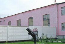 Омбудсмен Татьяна Москалькова попросила прокуратуру проверить сообщения о пытках заключенных в колонии «Черный дельфин»