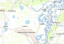 В Курганской области затопило старые урановые скважины. К чему это может привести?