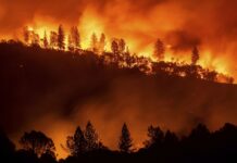 В Сибири начались лесные пожары