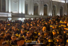 В Тбилиси на акции протеста против законопроекта «об иноагентах» задержано 14 человек