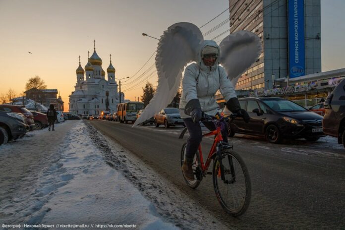 Древарх Просветленный