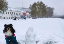 74 тысячи жителей остались без электричества из-за снегопада в Свердловской области