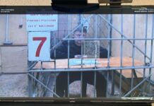 Второго фигуранта по делу замминистра обороны Тимура Иванова оставили под стражей