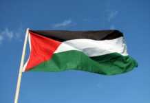 Палестина может стать полноправным членом ООН