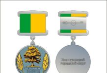 В Новокузнецке учредили новую награду — медаль «За сохранение семейных ценностей»