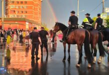 В Царицыно полиция разогнала фестиваль хиппи