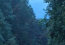 В Калужской области стрельба у монастыря Оптина Пустынь