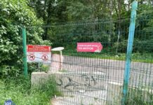 В Москве местные жители борются за сохранение парка «Крылатские холмы» — власти хотят на его месте построить спортивный кластер