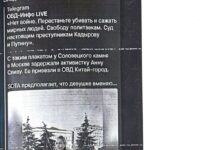Мосгорсуд утвердил штраф за «дискредитацию армии» Анне Слива, вышедшей к Соловецкому камню с антивоенной акцией