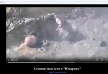 «Сегодня твои дети в “Юнармии”, завтра — в украинской земле». Хакеры взломали сайт «Юнармии»