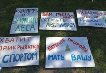 Пикет в защиту Бугринского леса прошел в Новосибирске