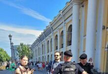 В Петербурге задержали главу офиса штаба и агитатора Людмилы Васильевой