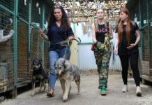 Зоозащитники и их подопечные после победы в суде