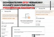 МВД аннулировало действительность внутренних паспортов омских активистов