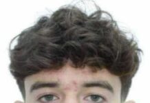 Подозреваемый в убийстве Ирины Фарион задержан. Им оказался молодой человек, который интересовался неонацистской группировкой NS/WP и писал антисемитские комментарии