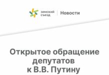 Российские депутаты обратились к Путину с предложением о введении олимпийского перемирия