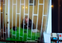 Речь Михаила Кригера в кассации на приговор: