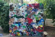 В Ереване при поддержке российских релокантов прошел экофестиваль