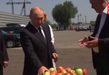 Куда ездил Путин вместо Курска