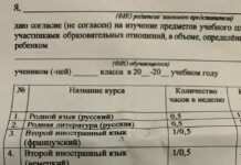 Родители ижевских школьников пожаловались на давление со стороны администрации — их заставляют записывать детей на «Основы строевой и огневой подготовки»