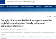 Интеграция Грузии в Евросоюз фактически приостановлена из-за закона против ЛГБТ