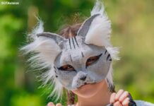 О том как квадроберы рассорили российскую общественность и стали причиной споров среди пропагандистов — в карточках SOTAvision