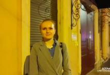 В Петербурге суд отстранил члена комиссии Елену Авдееву