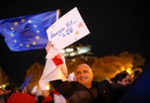 Пророссийская партия «Грузинская мечта» лидирует на выборах в Грузии