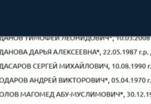 Правнучку Чкалова внесли в реестр экстремистов и террористов