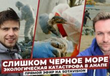 Слишком Черное море. Прямой эфир SOTAvision с места событий. Экологическая катастрофе в Анапе