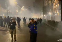 Не менее 224 человек задержали в Грузии за время протестов против заморозки евроинтеграции — МВД страны
