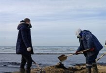 Крупная экологическая катастрофа в Черном море: разлив мазута в декабре 2024 года