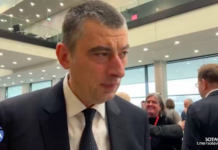 «Новые выборы и освобождение задержанных». Экс-премьер-министр Грузии Георгий Гахария — о том, что протестующие будут считать победой