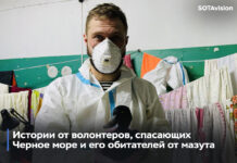 Птицы несчастья нынешнего дня. Три истории от волонтеров, спасающих Черное море и его обитателей от мазута