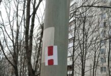 В Москве появились стикеры в память об Алексее Навальном