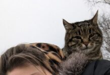 Кошка Футурама греется на руках у пришедших почтить память Алексея Навального на Борисовское кладбище