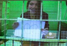 «Как здорово, что на закрытом суде можно делать, что угодно»: Тоня Фаворская о процессе по делу ФБК и о том, как она встретила первую годовщину смерти Навального