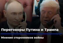 «Нацистское гнездо не уничтожено». Трамп и Путин созвонились. Что об этом думают сторонники войны