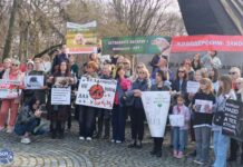 «Работать с социумом гораздо сложнее, чем просто взять и убить безмолвное животное, которое не может за себя постоять». в Калининграде прошел митинг против закона об убийстве бездомных животных