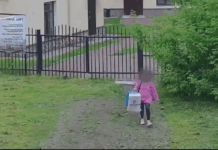 ФСБ: В Петербурге задержали 23-летнюю девушку, когда она «закладывала бомбу под машину сотрудника оборонного предприятия»