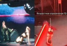 «Наши ребята на фронте точно за это воюют?» Мизулина донесла в СК и Генпрокуратуру на выступление Егора Крида в Лужниках