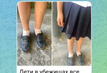 «Грязные, но живые». Родители новороссийских школьников жалуются на неподготовленность подвалов учебных заведений к атакам