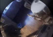 Обыски у алтайских активисток, в том числе, у «народного лидера Алтая» Аруны Арна и ее матери