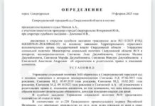 На многодетную мать из Свердловской области несколько лет подряд давят органы опеки. Им содействует движение «Сорок сороков»