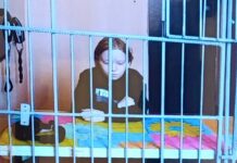 19-летней Алине Кюне оставили в силе приговор в 5,5 лет колонии по делу об участии в «террористическом движении Колумбайн». Об отмене наказания просила уполномоченная по правам человека Москалькова