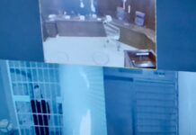 Суд утвердил 7 лет колонии бортпроводнице Варваре Волковой за «фейки» о российской армии в закрытом чате на 13 человек