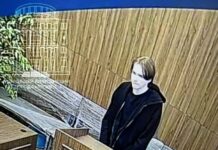 В России запретили все митинги против блокировки Telegram. Организаторов арестовали или вынудили уехать