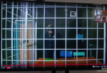 Петербурженке Алене Лысановой, осужденной на 13 лет колонии из-за переводов за рубеж, смягчили приговор — из него исключили штраф