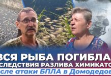 Химикаты попали в водоемы после атаки БПЛА по Домодедово — жители бьют тревогу